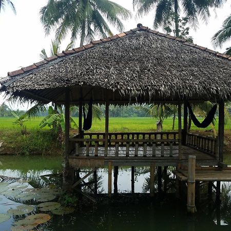 Bale'Ku Hotell Pangandaran Eksteriør bilde